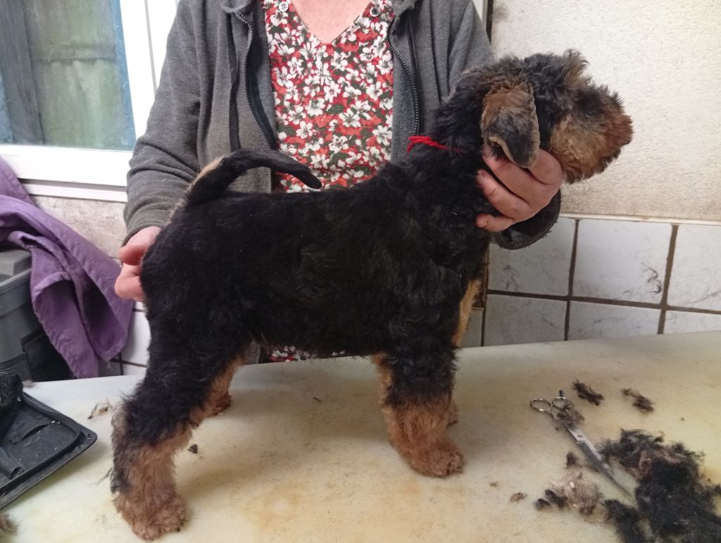 Deux garçons disponibles